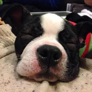 Meet your Posher, Angela